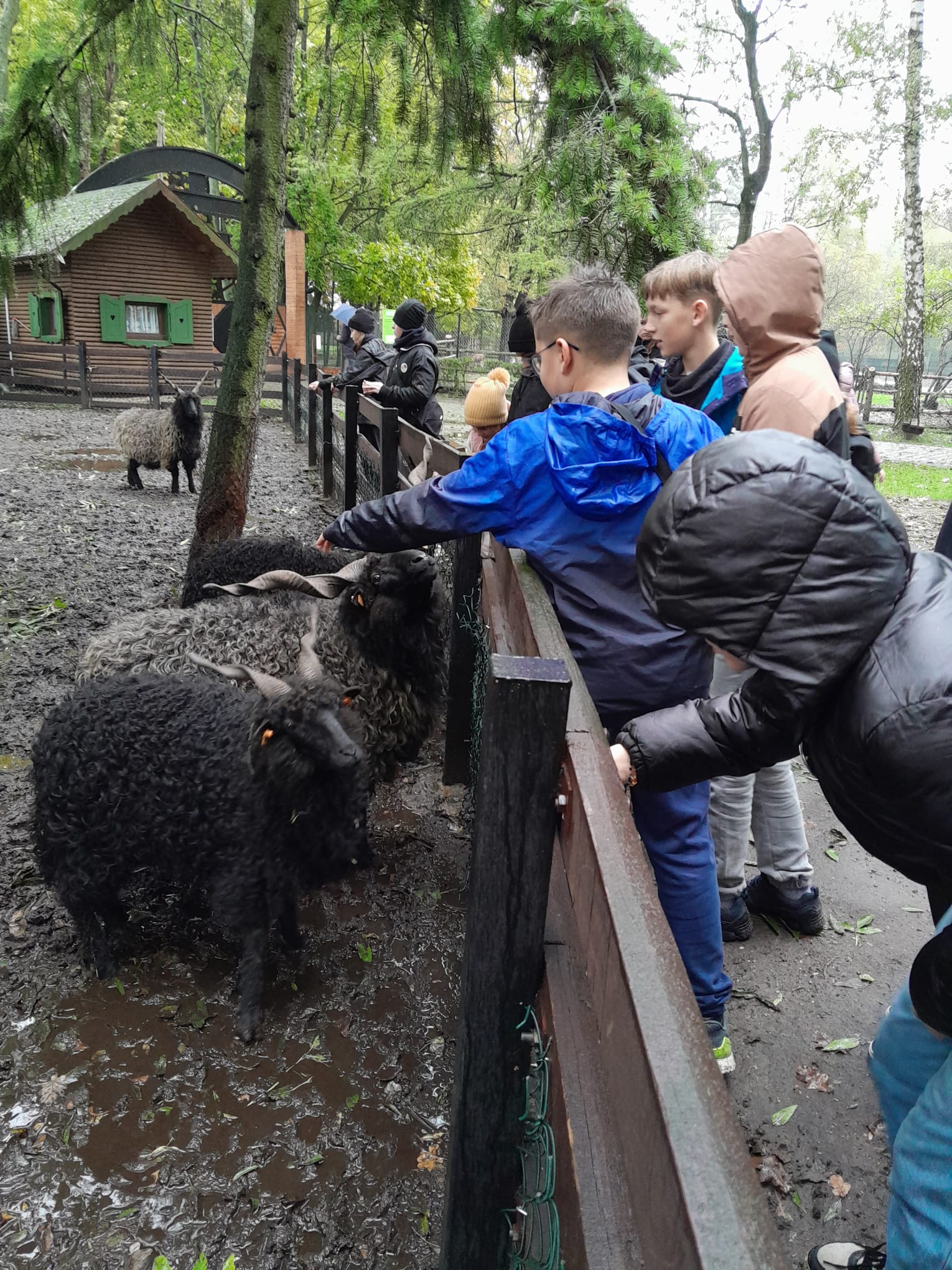 Zdjęcie z wydarzenia Biwak w Chrośnicy 27-28.10.23